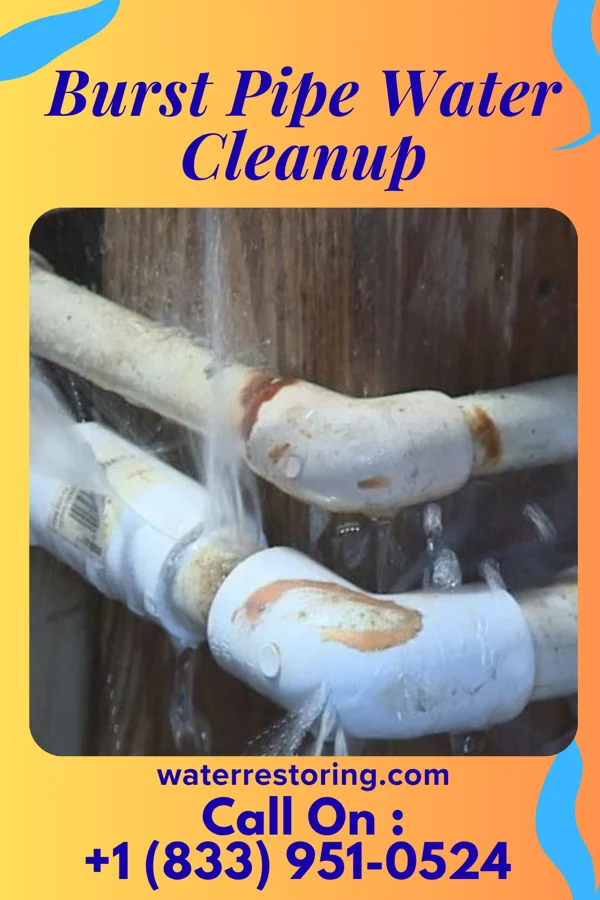 Burst Pipe Water Cleanup in Kossuth, MS