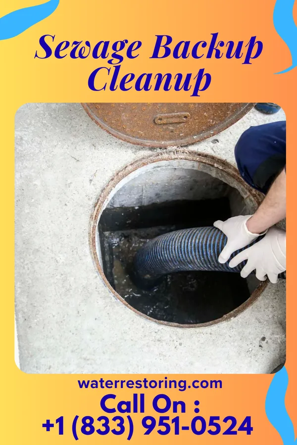 Sewage Backup Cleanup in Kossuth, MS